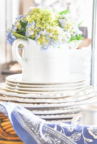PRETTY BLUE HYDRANGEAS IN A WHITE PITCHER