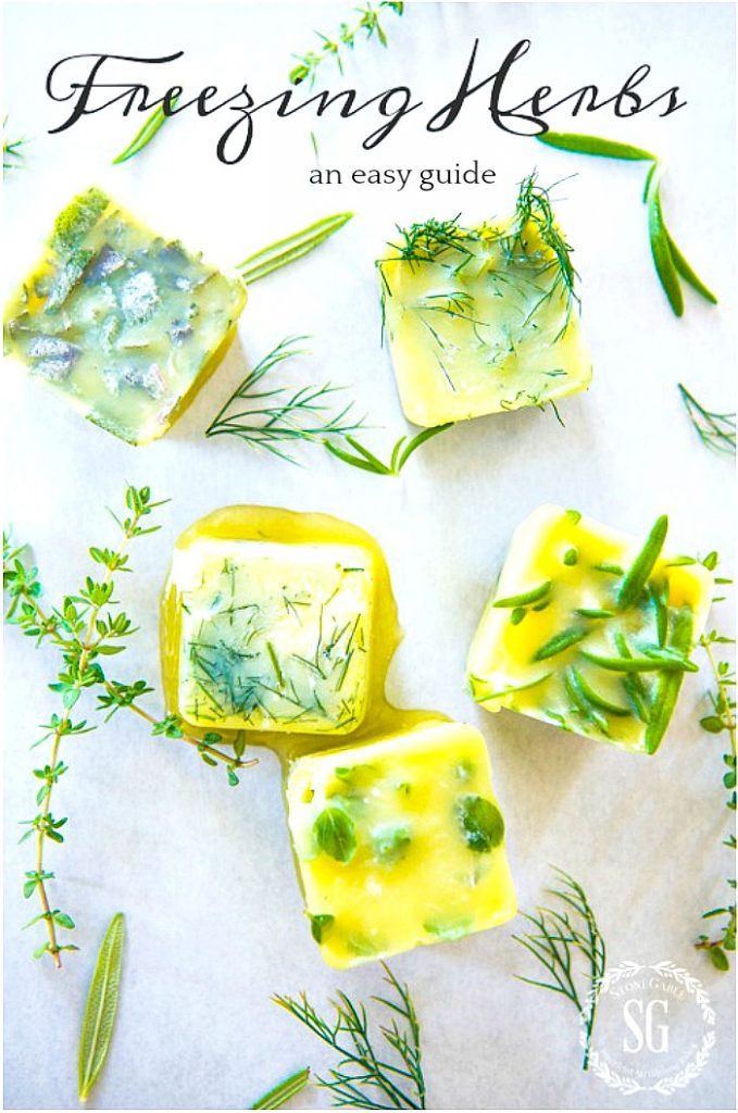 frozen herbs in little cubes of olive oil