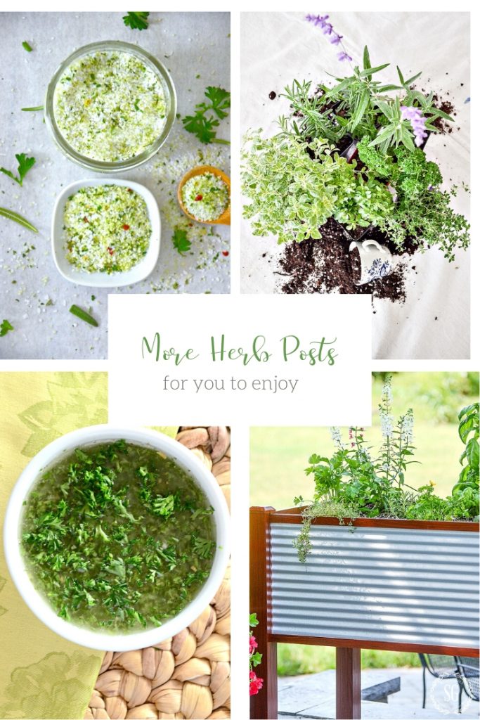 A COLLAGE OF HERBS AND FOODS WITH HERBS