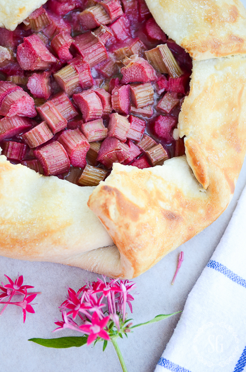 CLOSE UP OF RHUBARB GALETTE