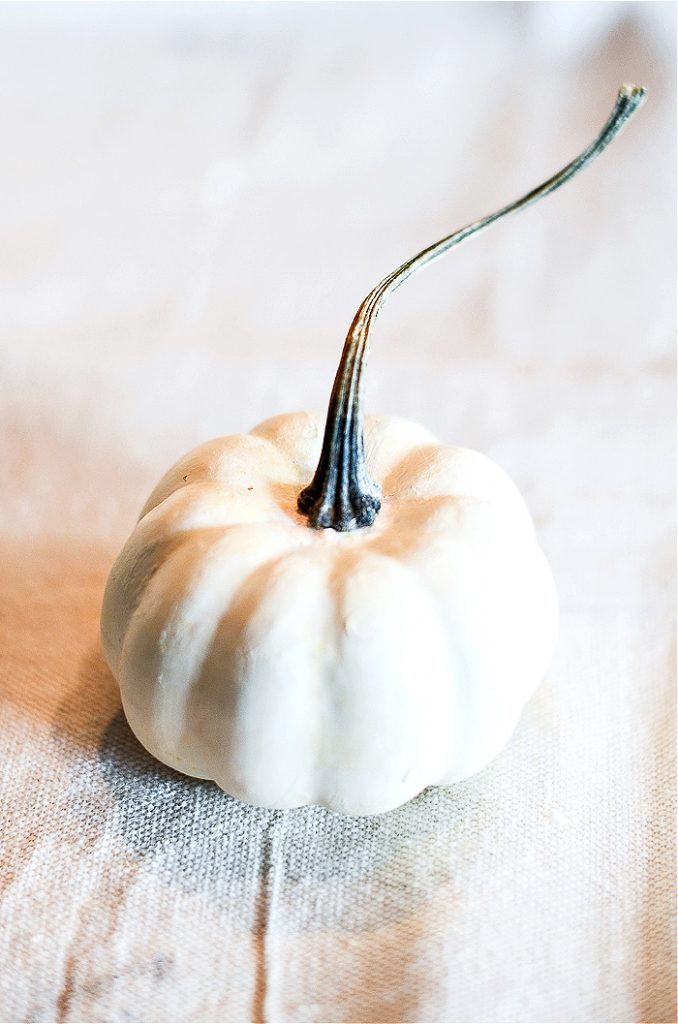 A WHITE PAINTED FAUX PUMPKIN WITH A REAL STEM