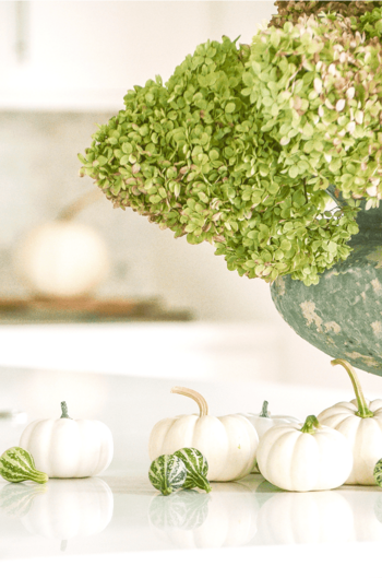 SOFTER SIDE OF FALL HOME TOUR, PART 2