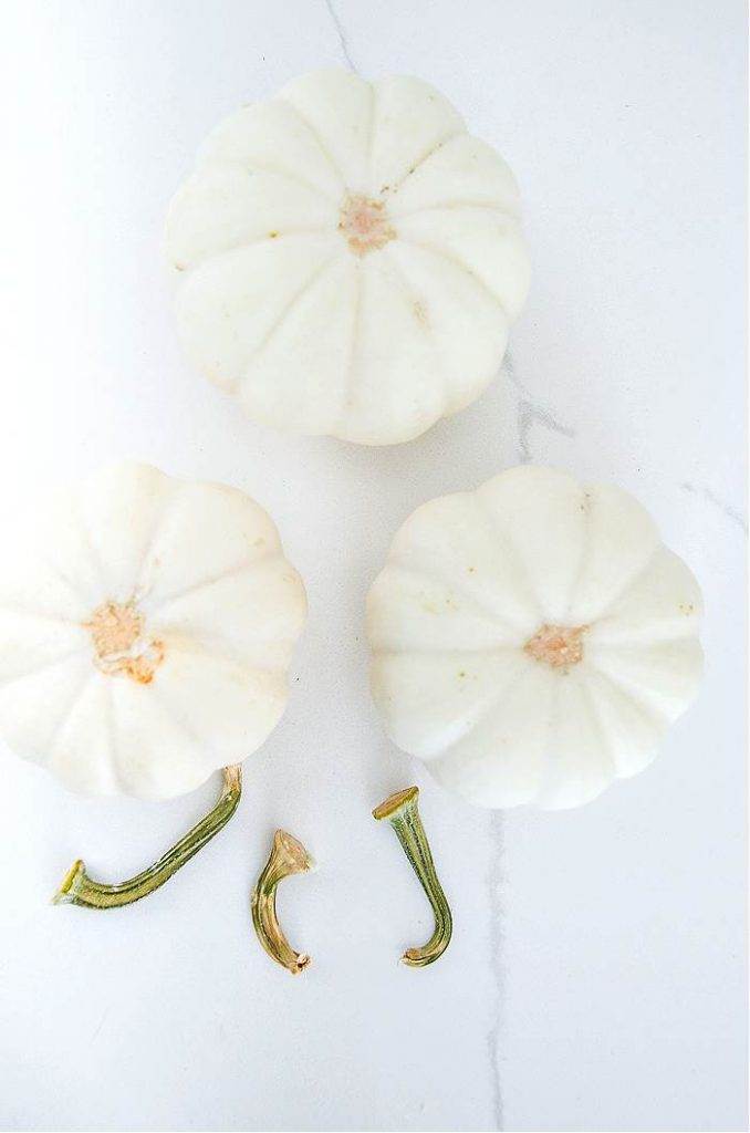 WHITE PUMPKINS WITHOUT STEMS
