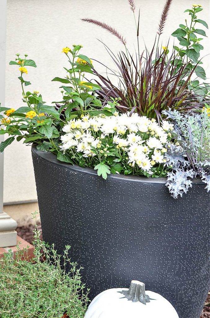 FLOWERS IN A PLANTER