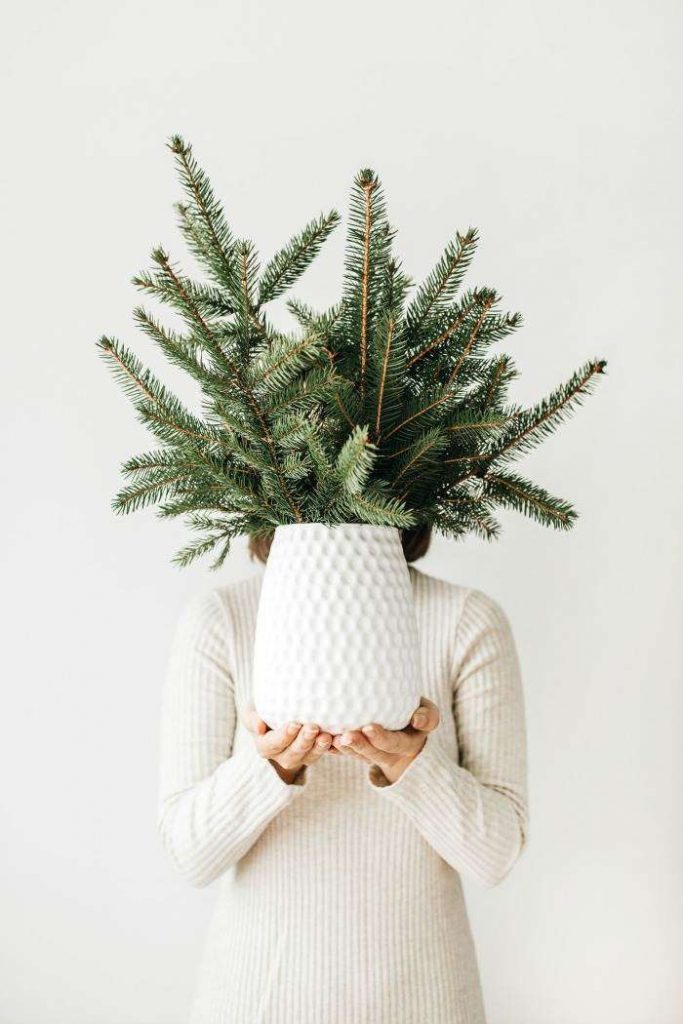 GIRL HOLDING CHRISTMAS GREENS IN FRONT OF HER FACE