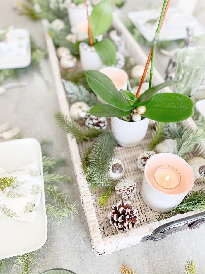ORCHIDS IN A CHRISTMAS TABLE CENTERPIECE