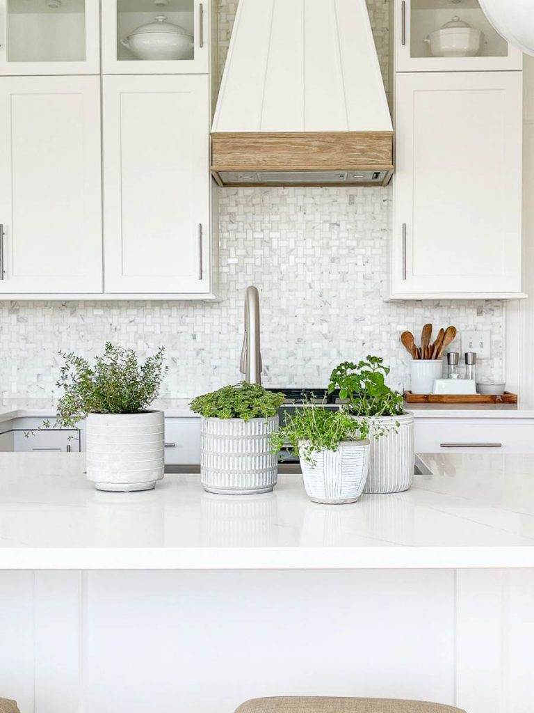 POTS OF HERBS ON A KITCHEN COUNTER