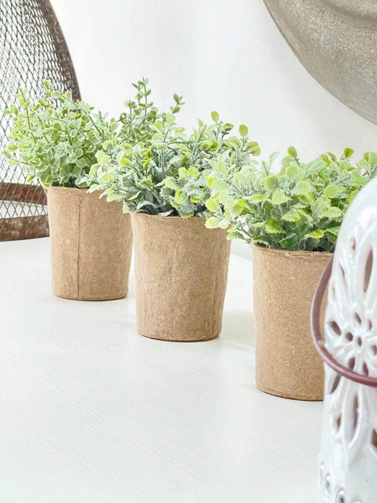 three faux plants in cardboard containers