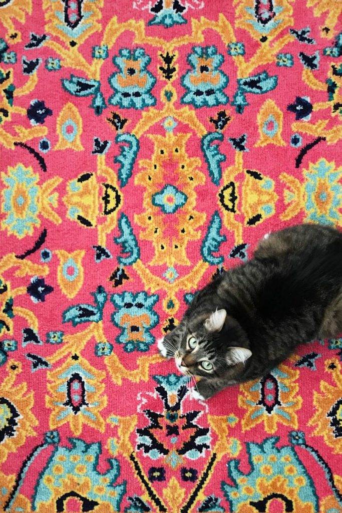BRIGHTLY COLORED RUG WITH A LITTLE BLACK CAT ON IT
