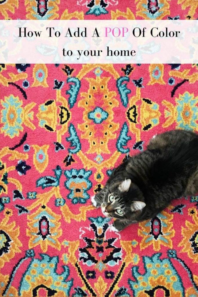 colorful rug with a kitten sitting on it