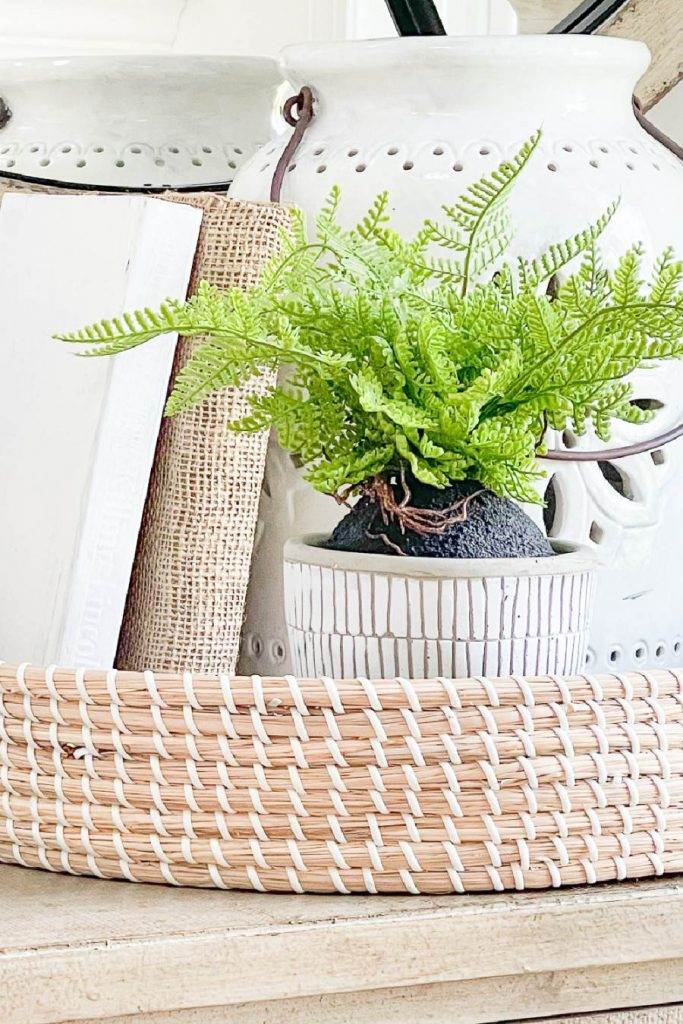 ACCENT DECOR- a basket holding books and a plant