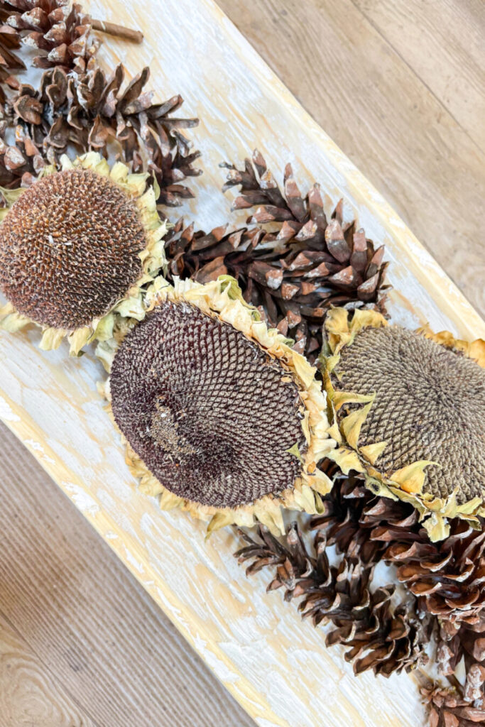 dried sunflower heads make up the center of a fall dough bowl