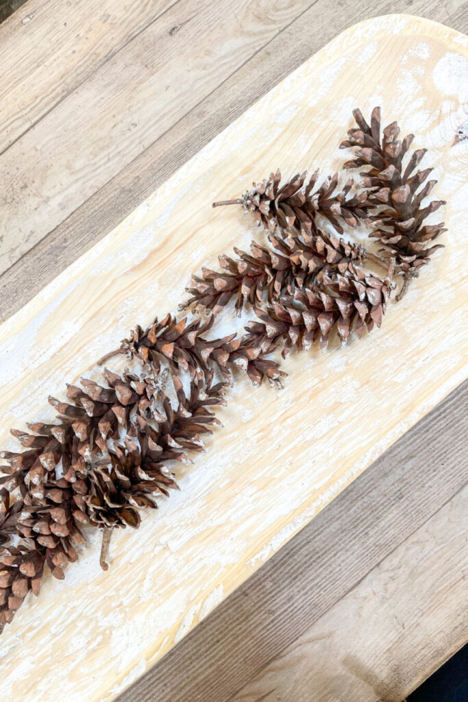 pinecones in a long dough bowl