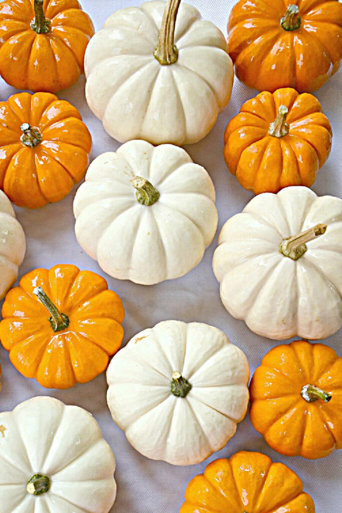 ORANGE AND WHITE PUMPKINS- 8 WAYS TO keep pumpkins fresh longer