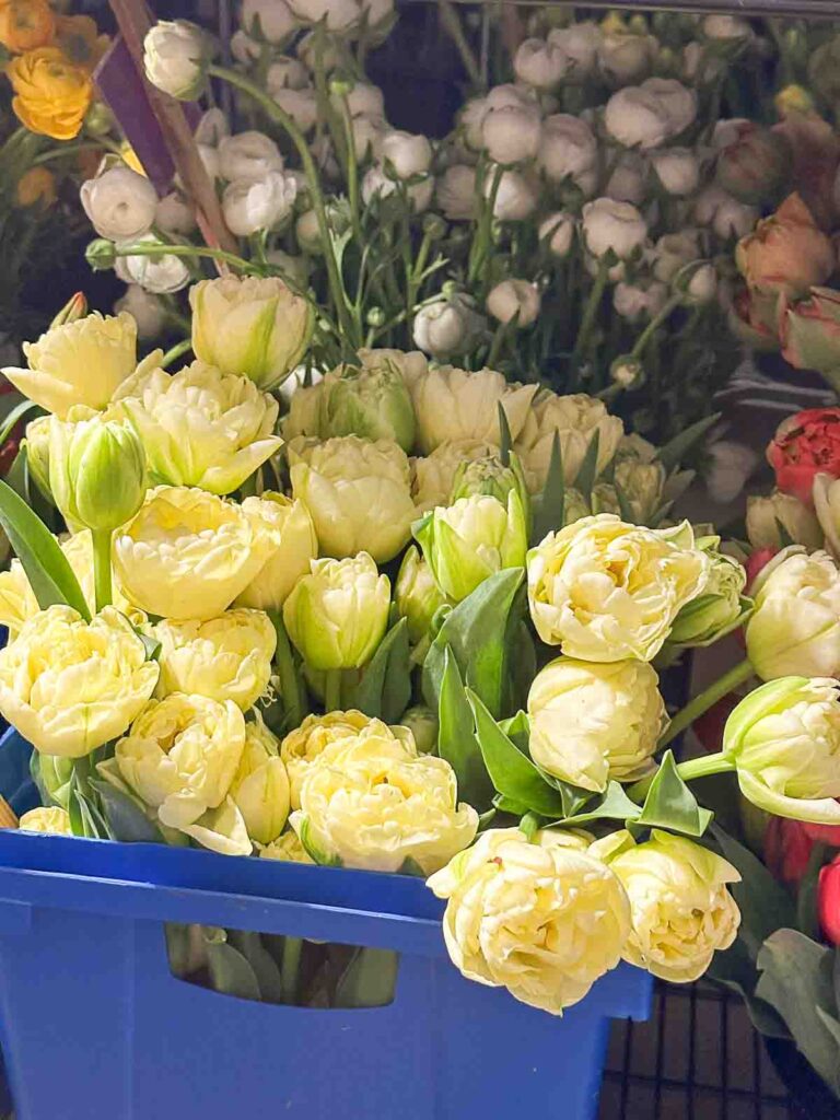large container of yellow tulips