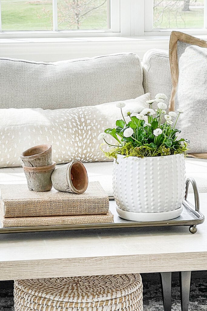 EASY SPRING VIGNETTES- ONE USING POT OF DASIES