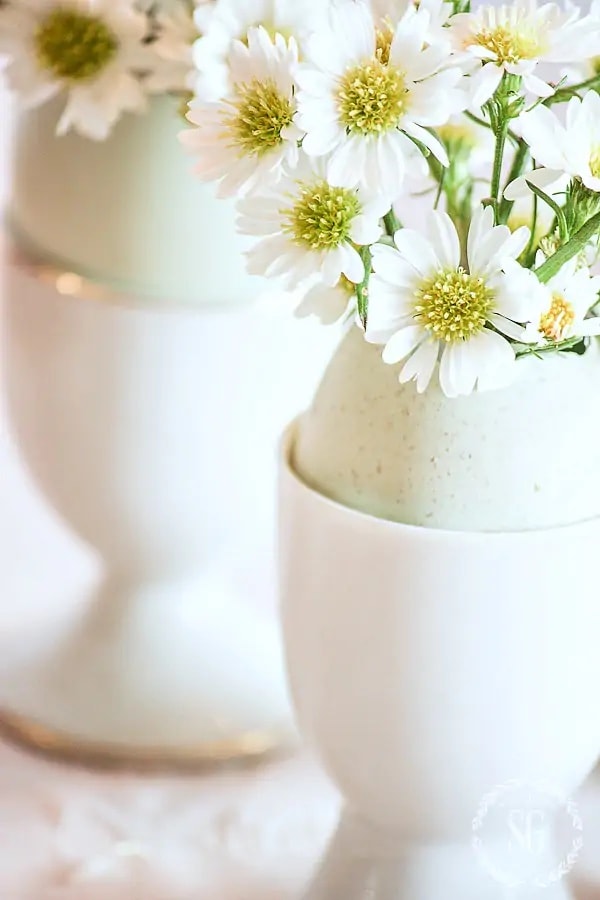 flowers in egg cups