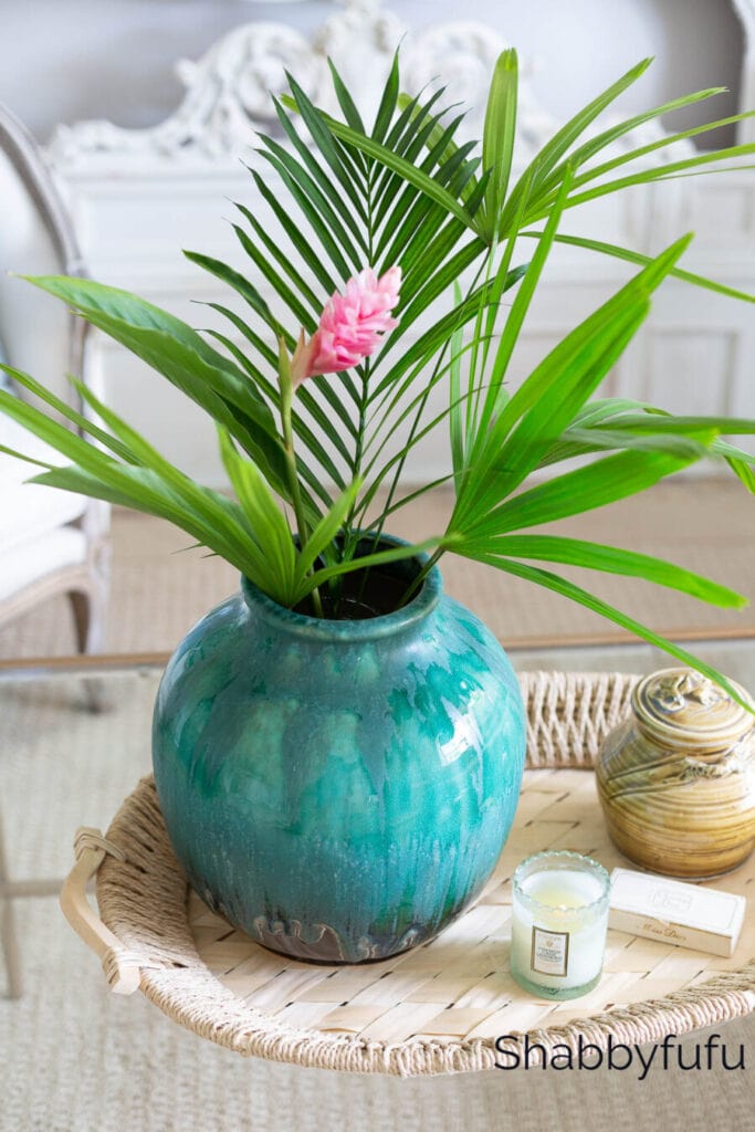 vase with palms