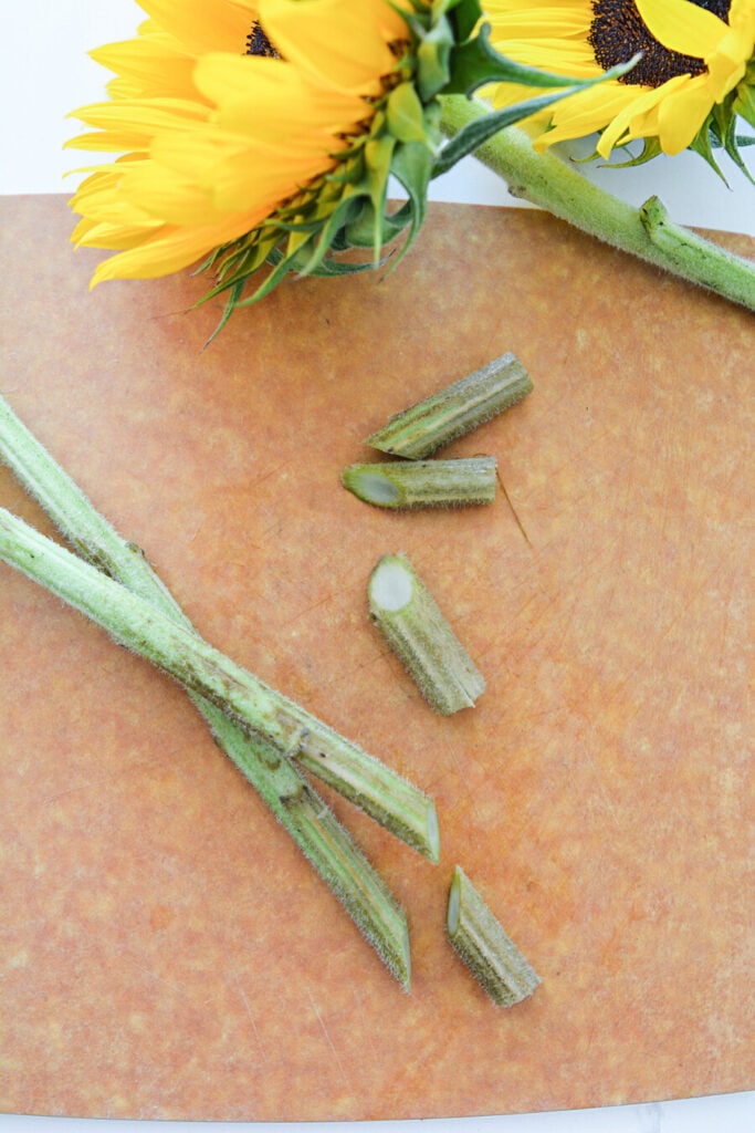 DECORATING WITH SUNFLOWERS- CUT SUNFLOWER STEMS