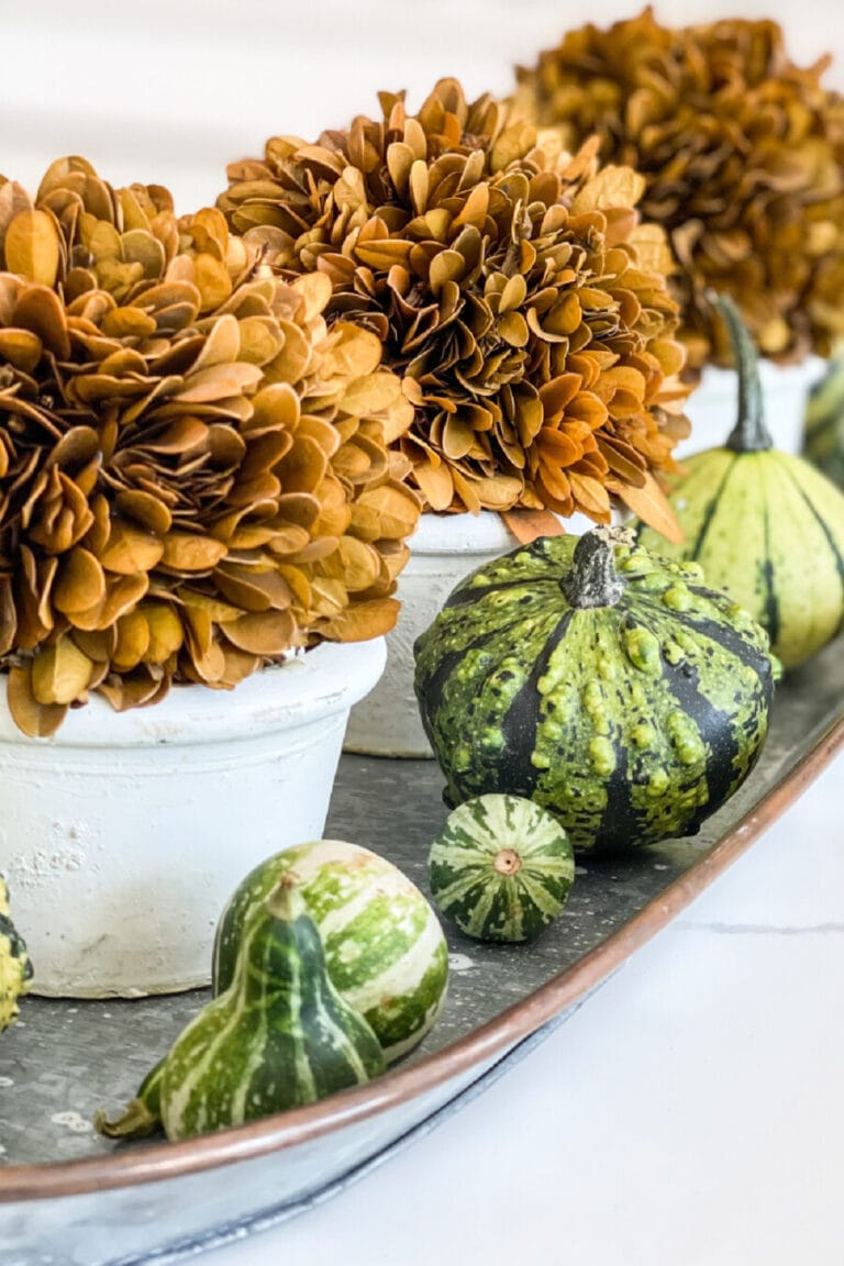 Early Fall Kitchen Tour, Fall Gardening, More Fall Tours And Fall On The Patio