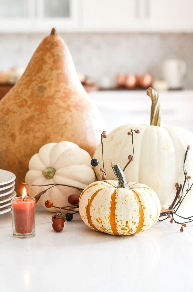 INEXPENSIVE FALL DECORATING IDEAS- PUMPKINS AND GOURDS