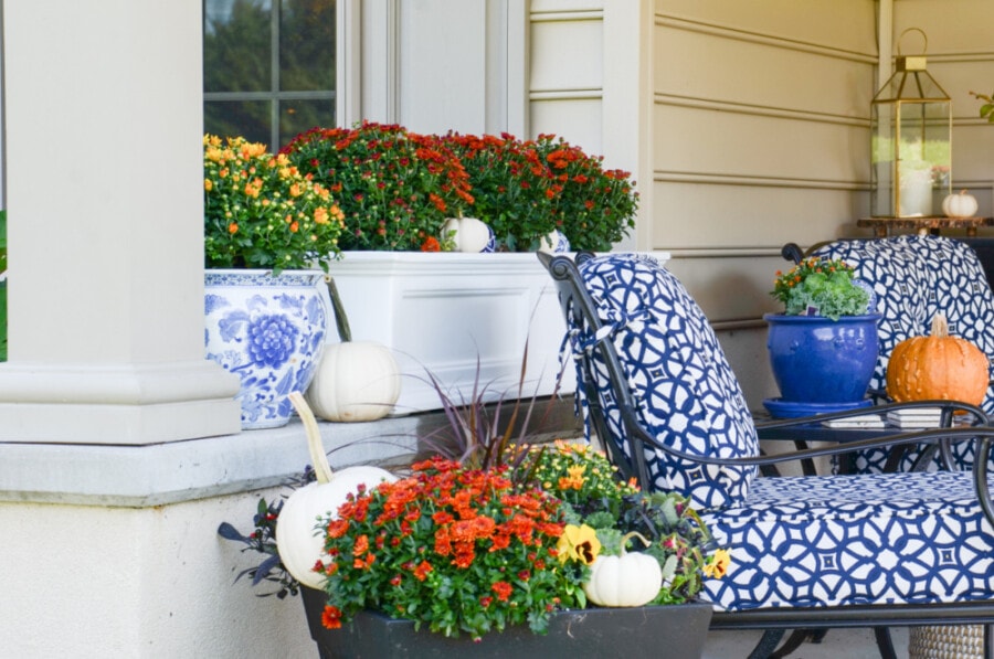 SMALL PATIO DECORATING IDEAS- FALL MUMS AND WHITE PUMPKINS