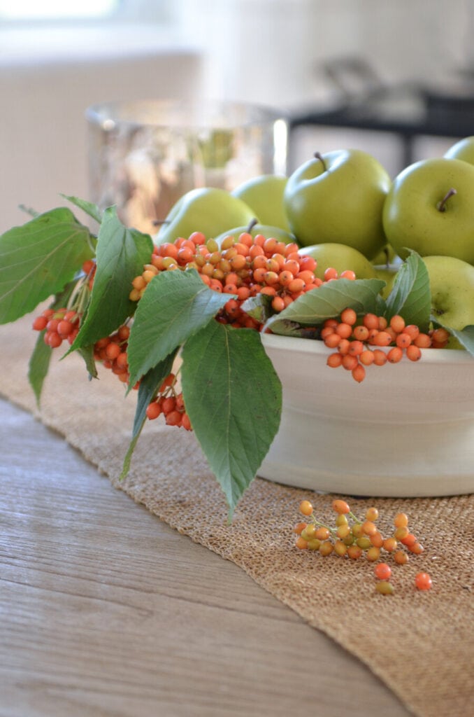 INEXPENSIVE FALL DECORATING IDEAS- APPLES