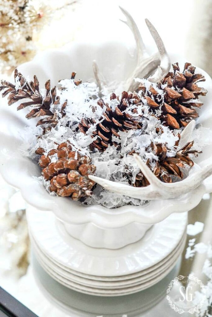 Best things to do in November- bowl of faux snow, deer sheds and large pinecones