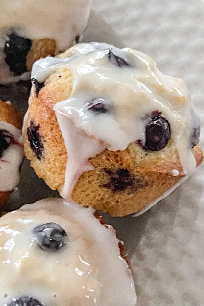 EASY BLUEBERRY MUFFIN RECIPE- ONE PERFECT MUFFIN