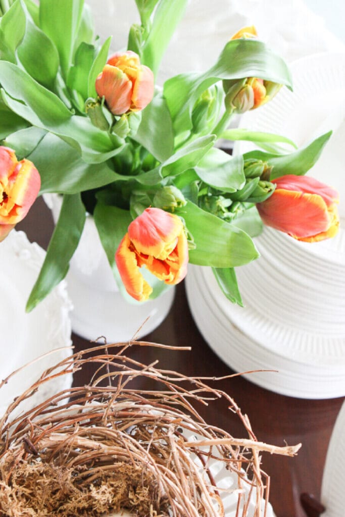 tulips and a nest