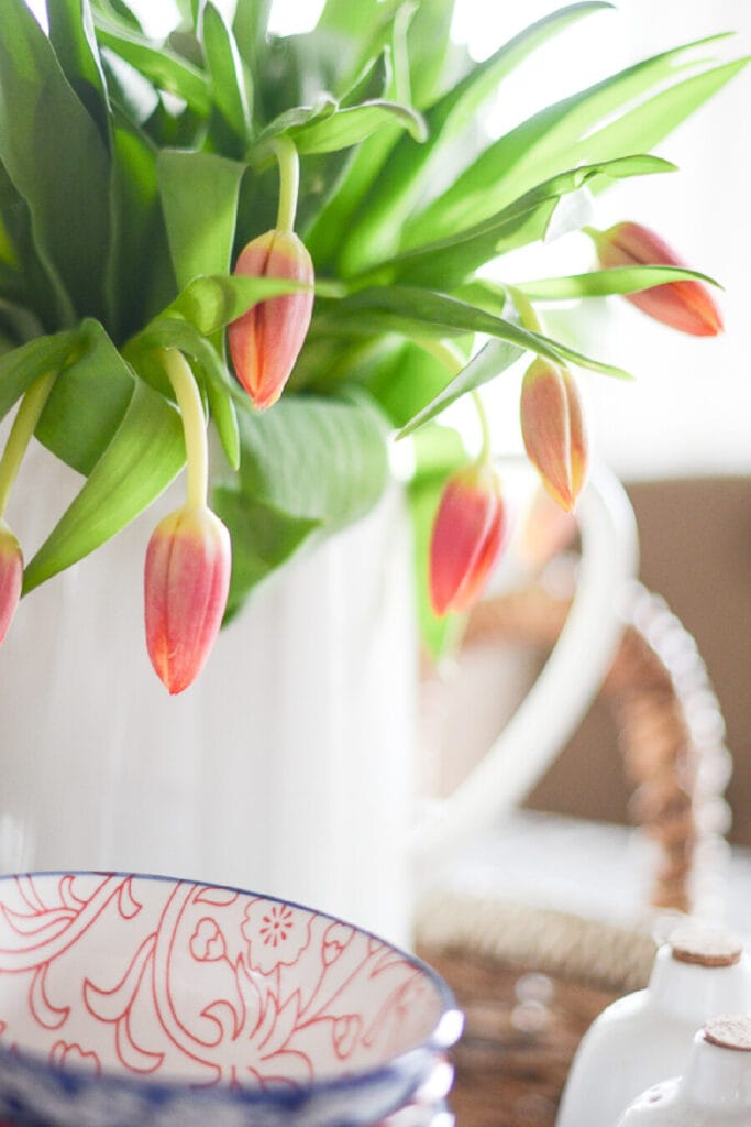 things to do for spring now- TULIPS