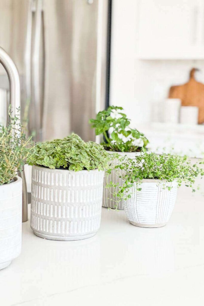 SPRING DECOR IDEAS- pots of herbs added on the kitchen island