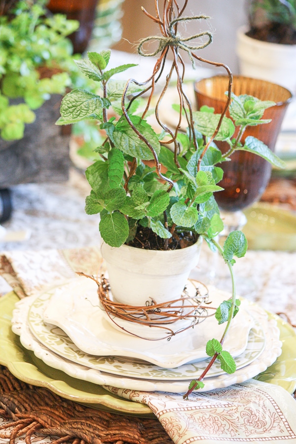 EASTER TABLE DECOR- LITTL POTS OF HERBS