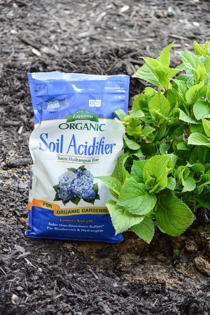 soil acidifier in a bag by a hydrangea
