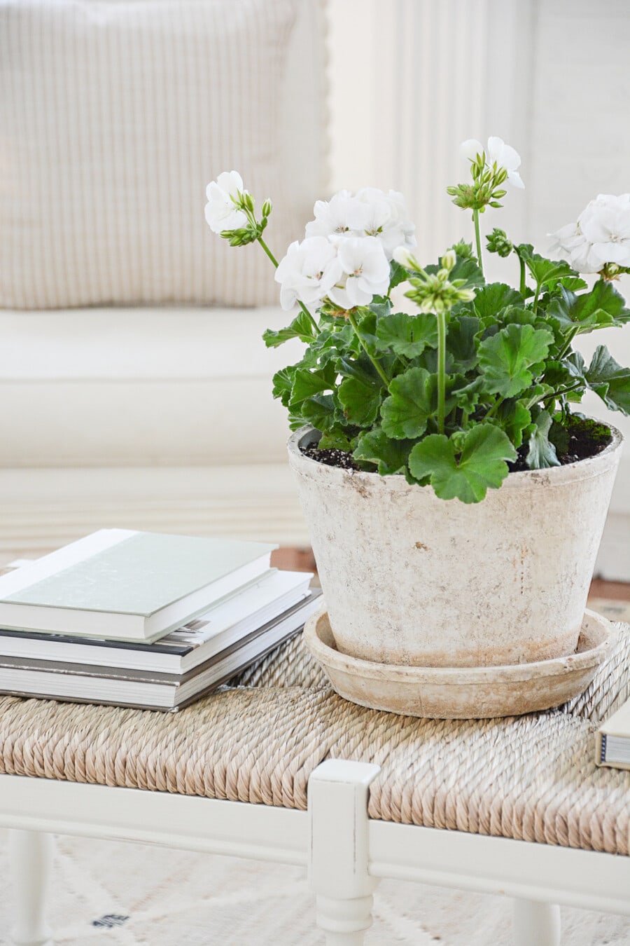 Using Summer Annuals And Perrenials To Decorate Indoors