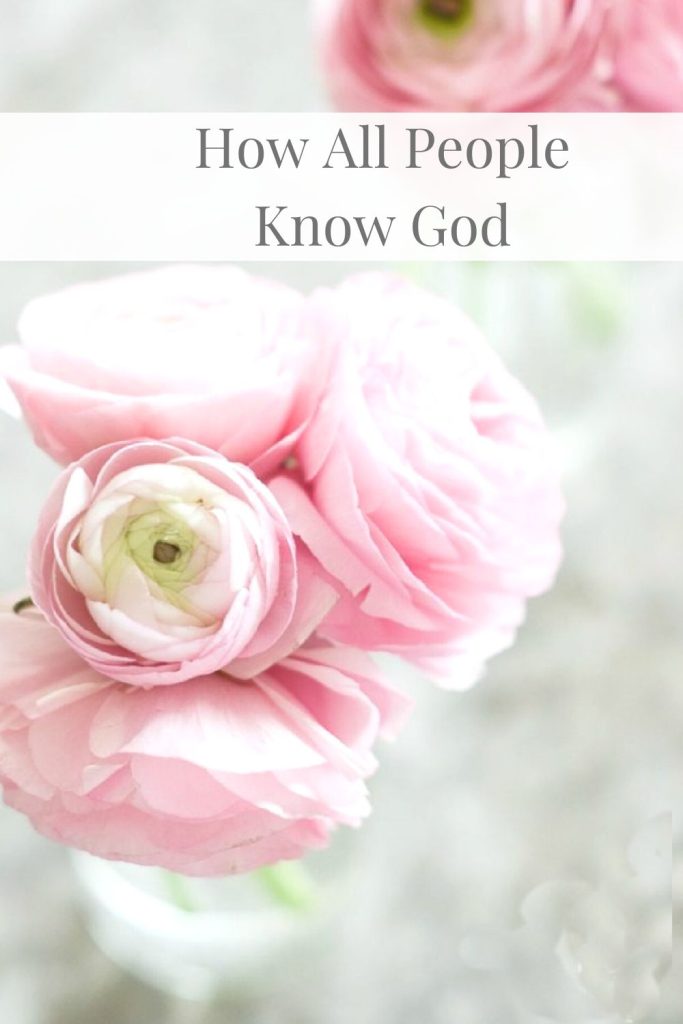 HOW ALL PEOPLE KNOW GOD- PINK RANUNCULAS GOD MADE.