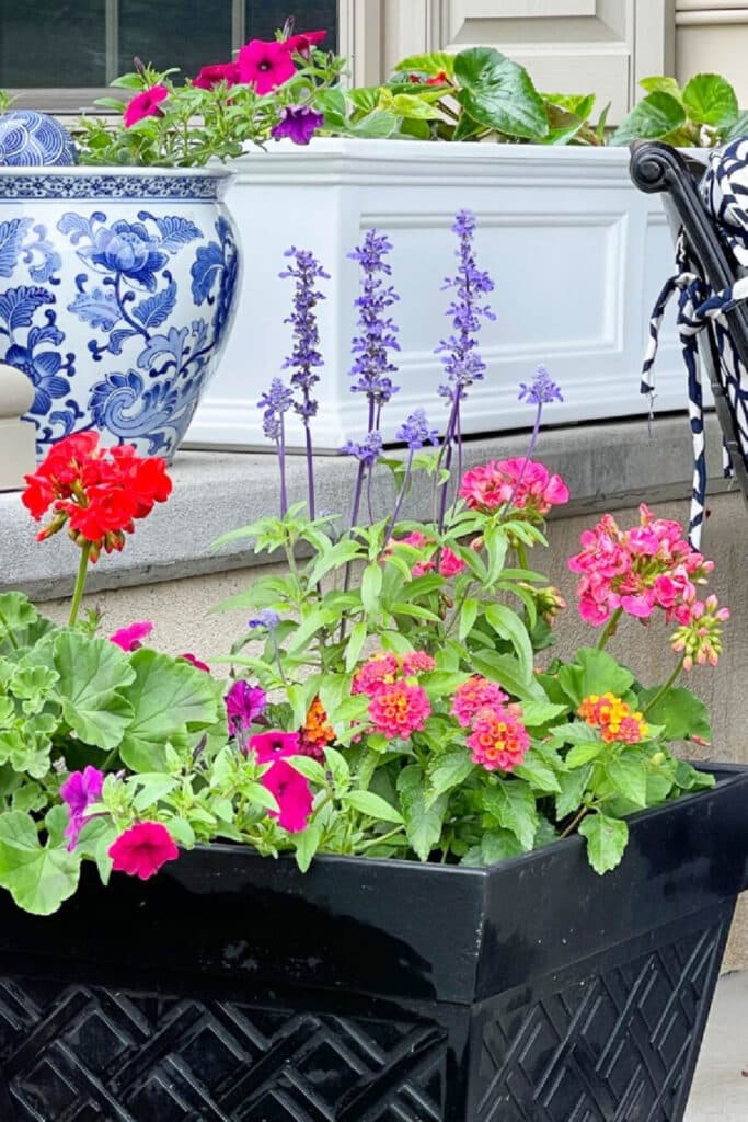 window boxes used on a patio