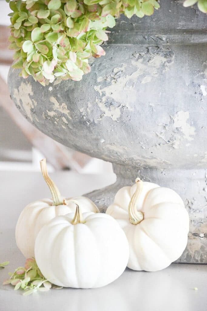 pumpkins next to an urn of hydrangeas