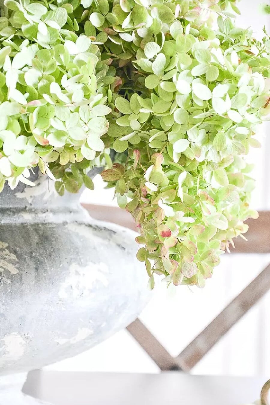 Drying Hydrangeas The Easy Way, Fall Ideas, A Symmetry Lesson, and A Home Tour