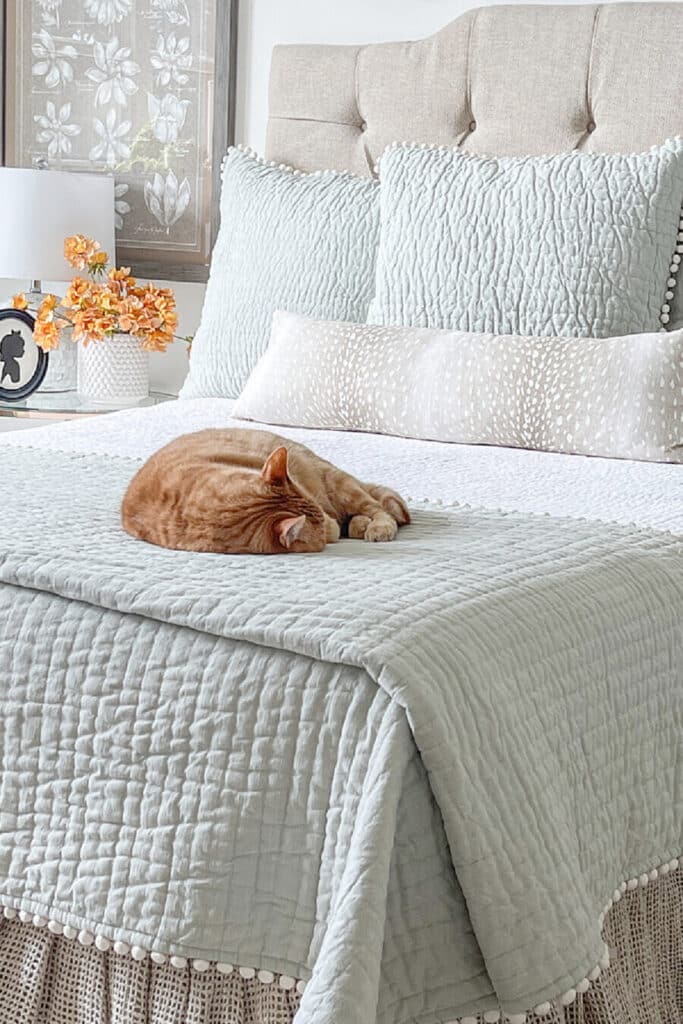 fall bedroom with cat on the bed