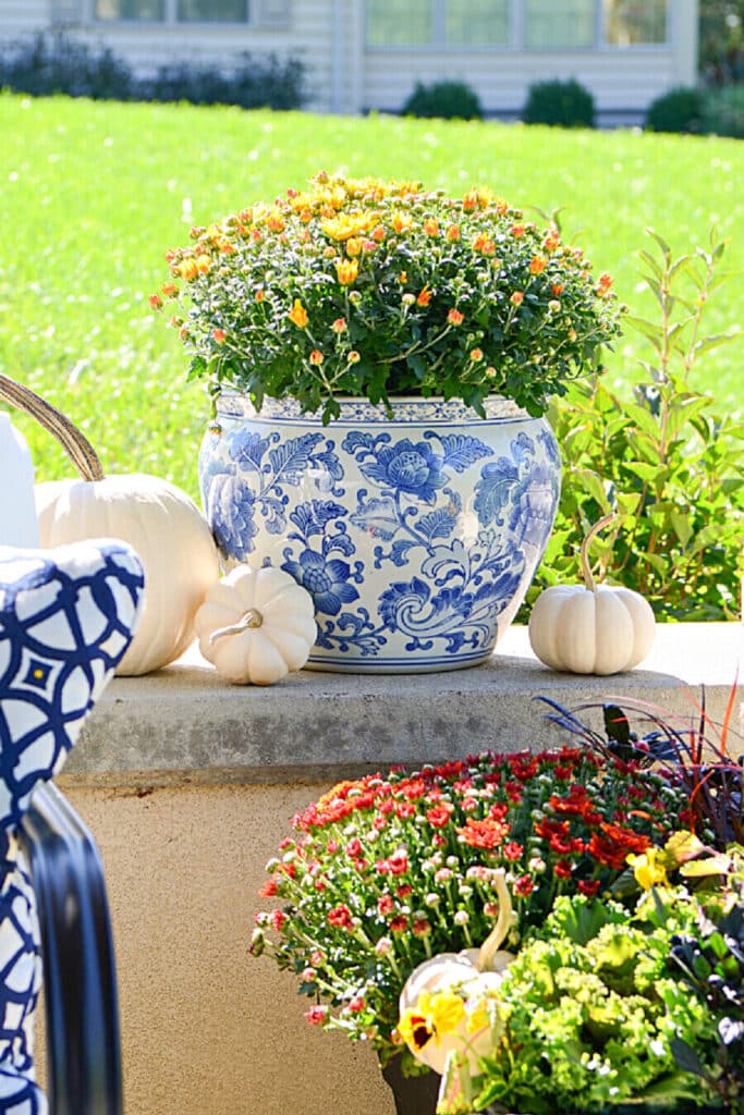 pretty blue and white porcelain pot with mums 