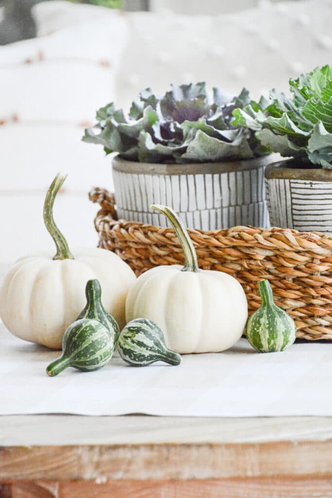 pumpkins and spinner near a basket of flowers kale and cabbage