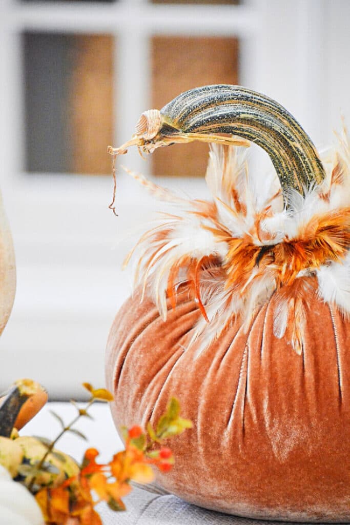 large velvet pumpkin with feathers around the neck.