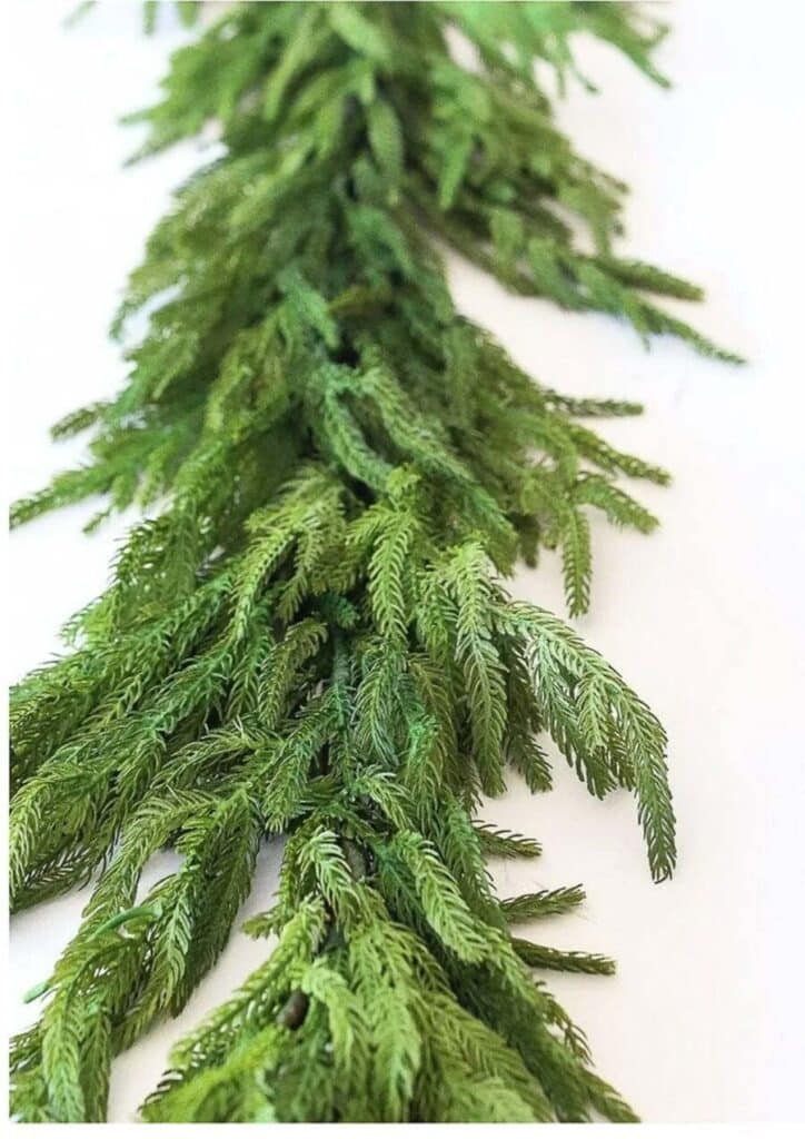 CHRISTMAS TRENDS 23- Norfolk pine garland