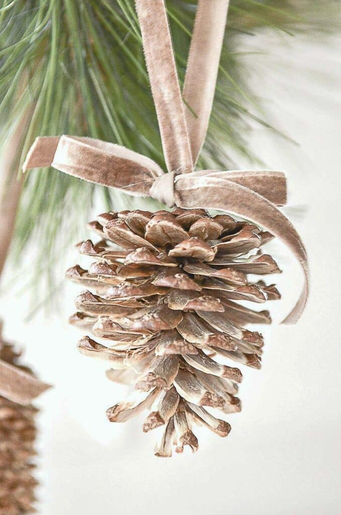 DECORATING WITH PINECONES- blond pinecone