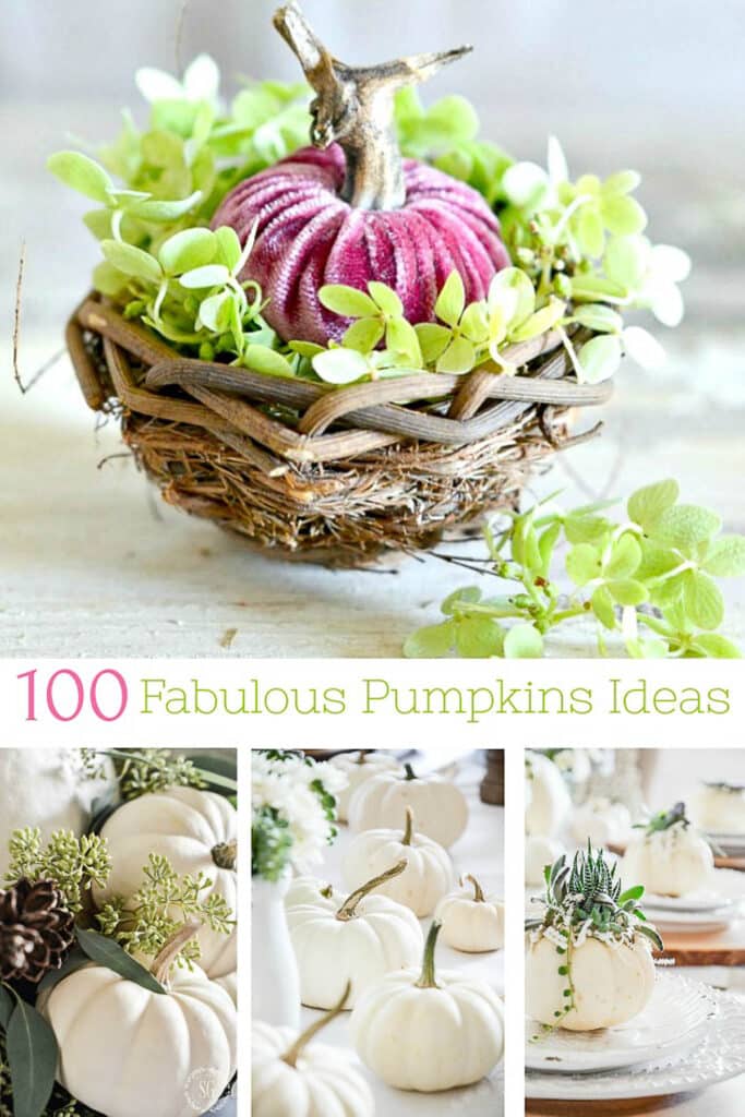 PUMPKINS- pin for 100 Pumpkin Idea post