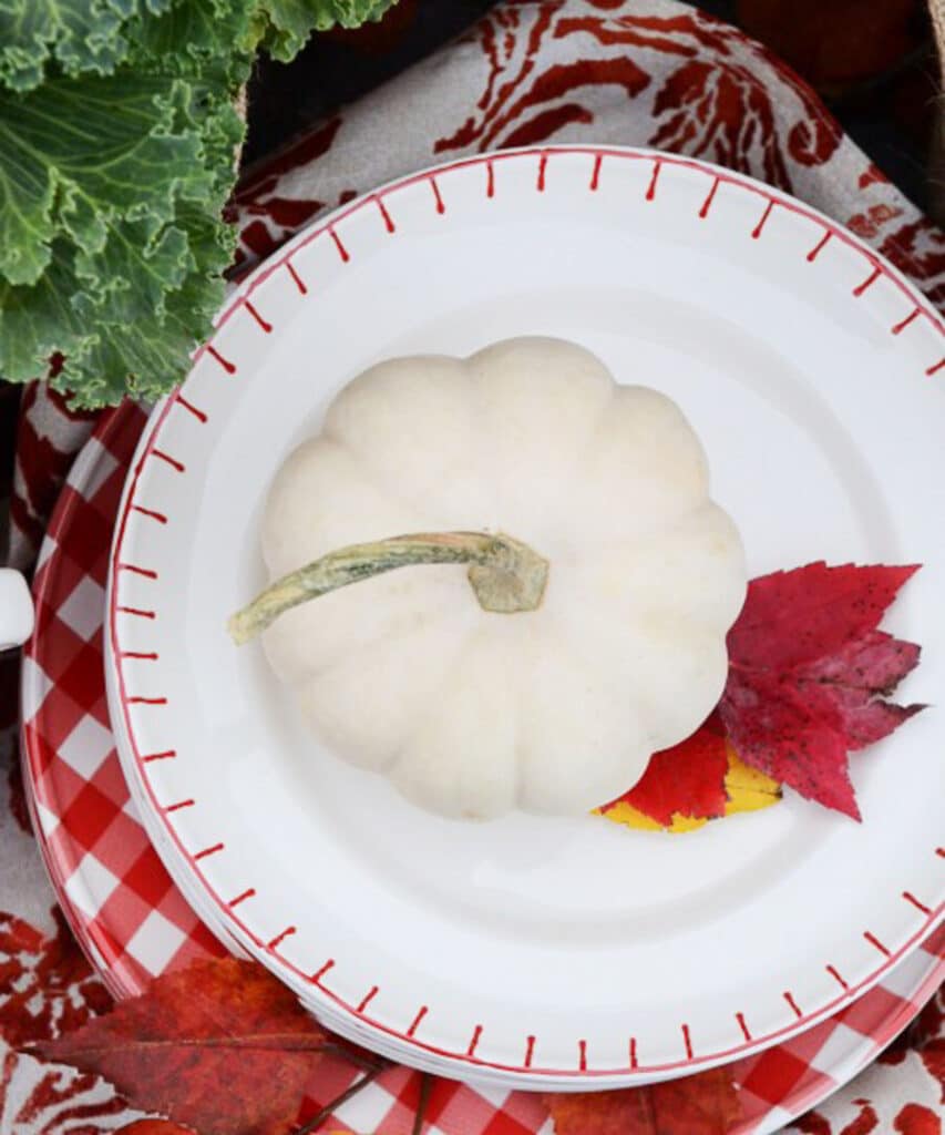 PUMPKINS- whie pumpkin on a plate with a leaf