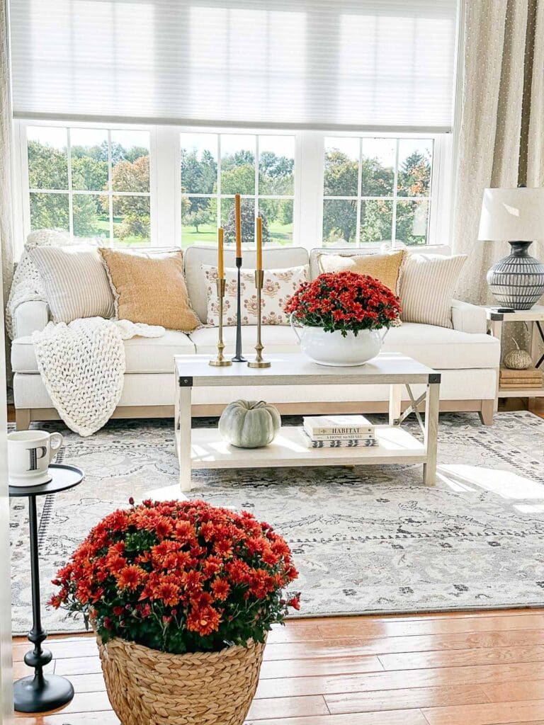 fall in the family room- rust colored mums