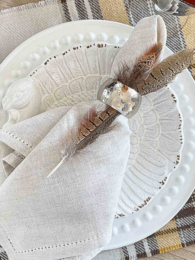 cropped-THANKSGIVING-PLACE-SETTING-TURKEY-PLATE.jpg