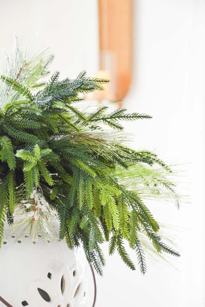 CHRISTMAS TOUR 2023- dining room, centerpiece. Norfolk pine in a white container